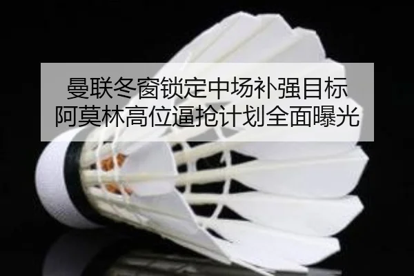 曼联冬窗锁定中场补强目标 阿莫林高位逼抢计划全面曝光 | kaiyun